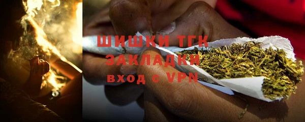 ПСИЛОЦИБИНОВЫЕ ГРИБЫ Баксан