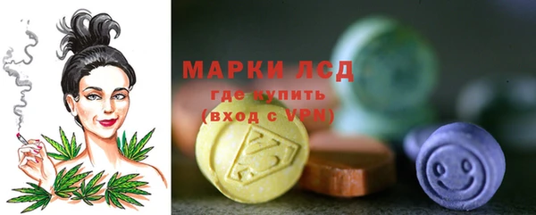 ПСИЛОЦИБИНОВЫЕ ГРИБЫ Баксан