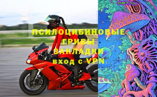 ПСИЛОЦИБИНОВЫЕ ГРИБЫ Баксан