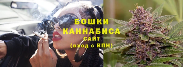 ПСИЛОЦИБИНОВЫЕ ГРИБЫ Баксан