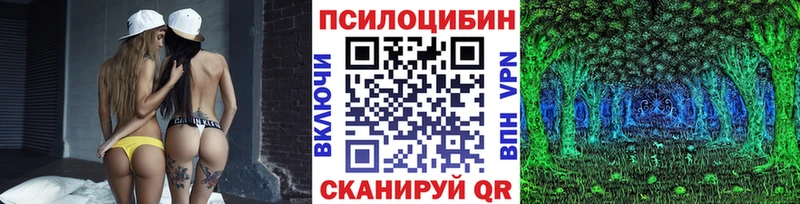 Псилоцибиновые грибы GOLDEN TEACHER Тырныауз
